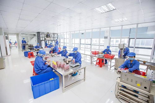 全網(wǎng)絡(luò)推廣助力食品OEM定制客戶開(kāi)發(fā)與業(yè)績(jī)?cè)鲩L(zhǎng)